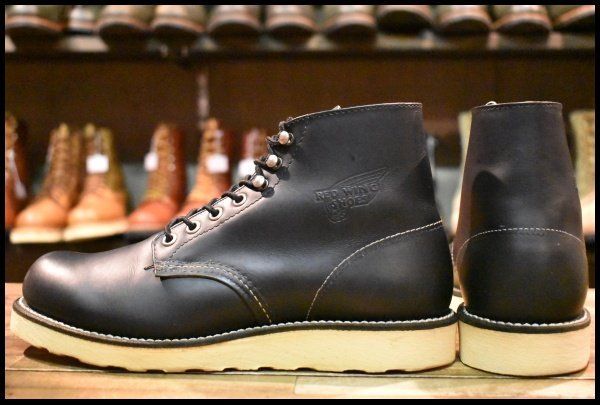 8165 アイリッシュセッター