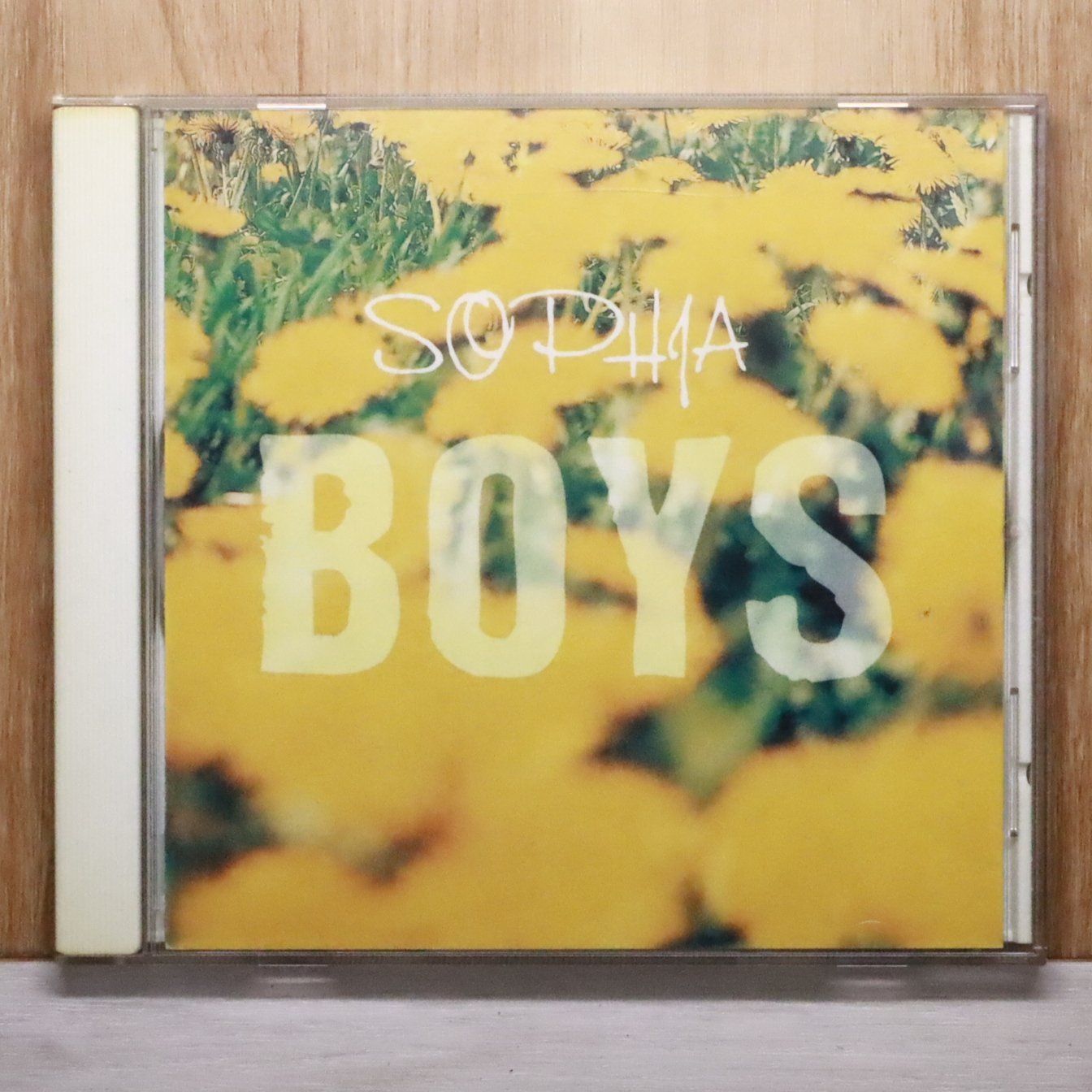 国内盤CD☆ソフィア/SOPHIA□ BOYS 【TFCC88065/4988061880655】U55060