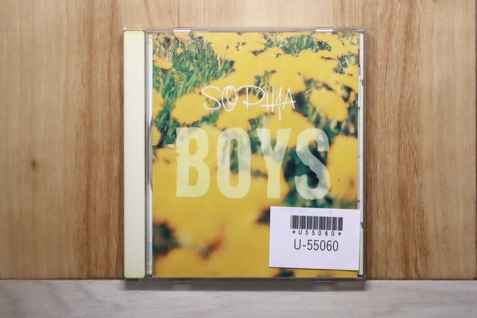 SOPHIA 貴重 CDセット+おまけ超レアVHS付き SOPHIA 貴重 CDセット+おまけ超レアVHS付き