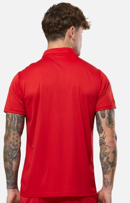 カストレ ラグビー アルスター ポロシャツ 赤 レッド モデル 日本未発売