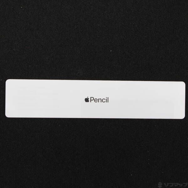 〔 品〕 Apple Pencil 第2世代 MXN 43 J A 348