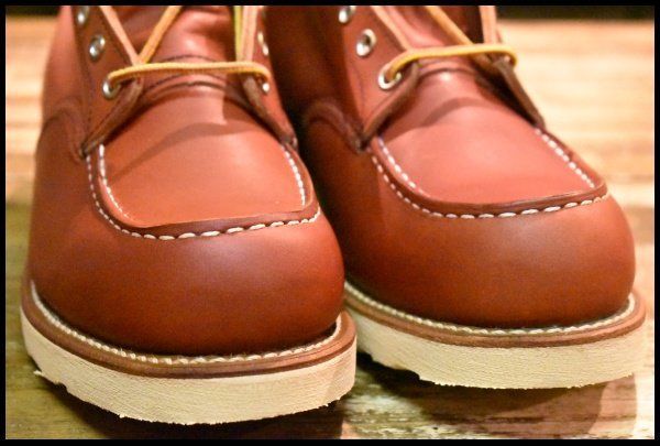 アイリッシュセッター