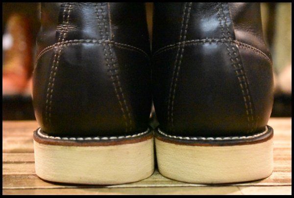 アイリッシュセッター