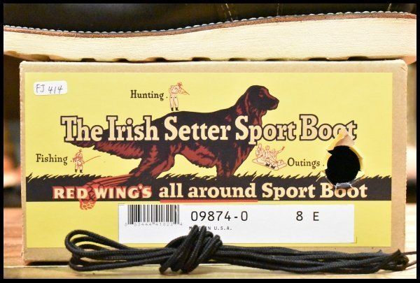 9874 アイリッシュセッター