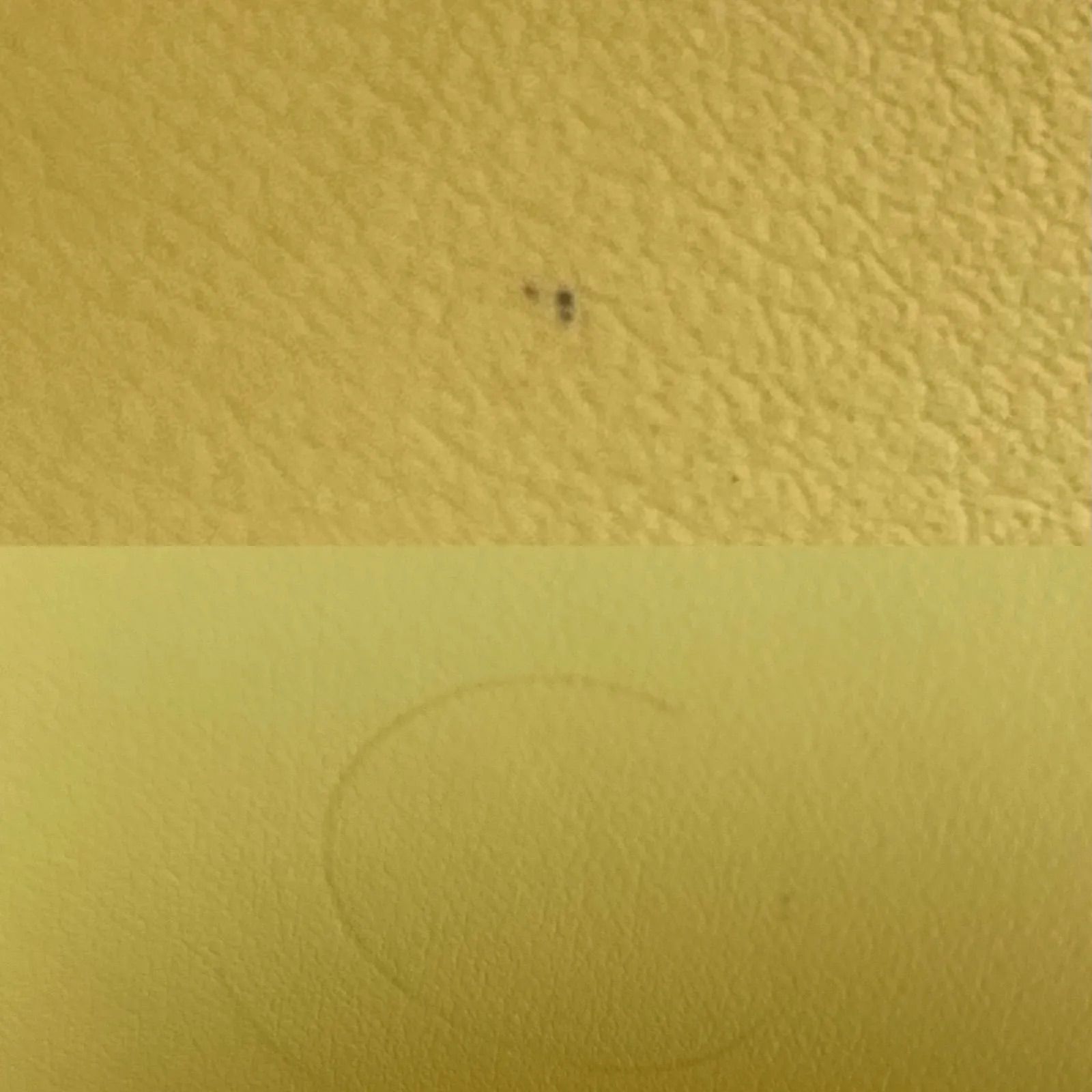 コインケース パープル