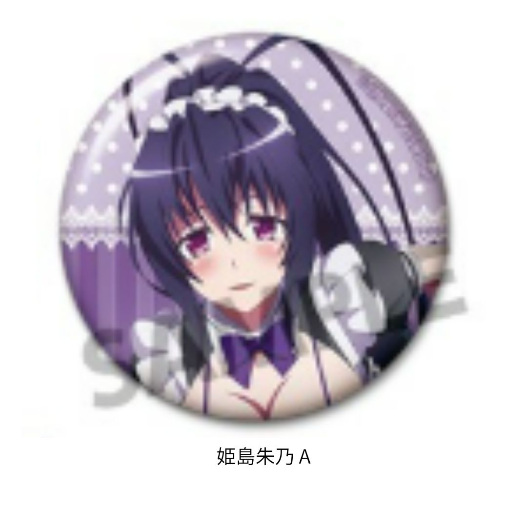 ハイスクールD×D HERO 描き下ろしトレーディング缶バッジ セクシー