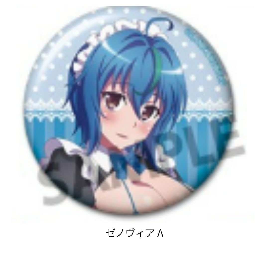 ハイスクールD×D HERO 描き下ろしトレーディング缶バッジ セクシー