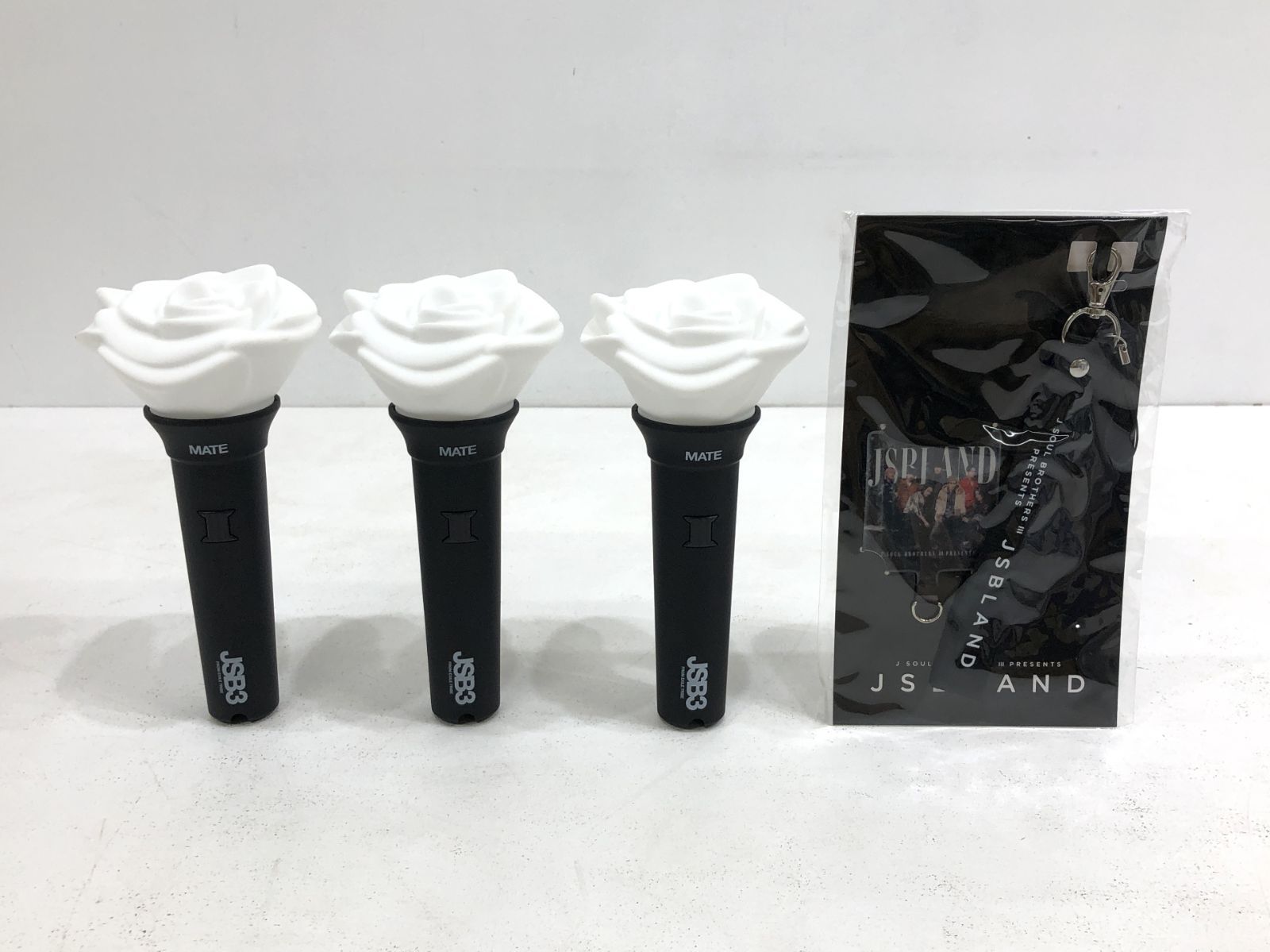 三代目ＪＳＢ ＭＡＴＥペンライト セットで T 361 2215