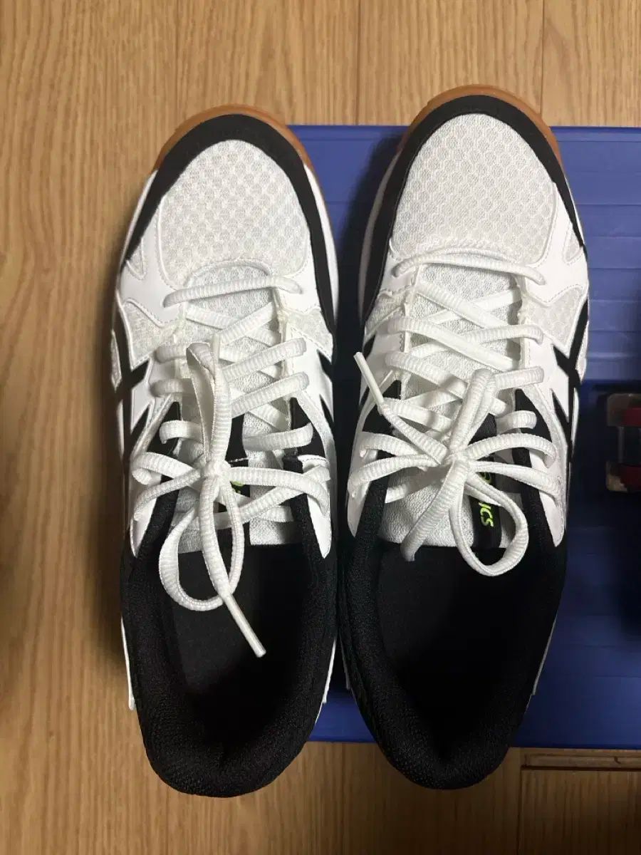 アシックス リーバレーボールシューズ 255