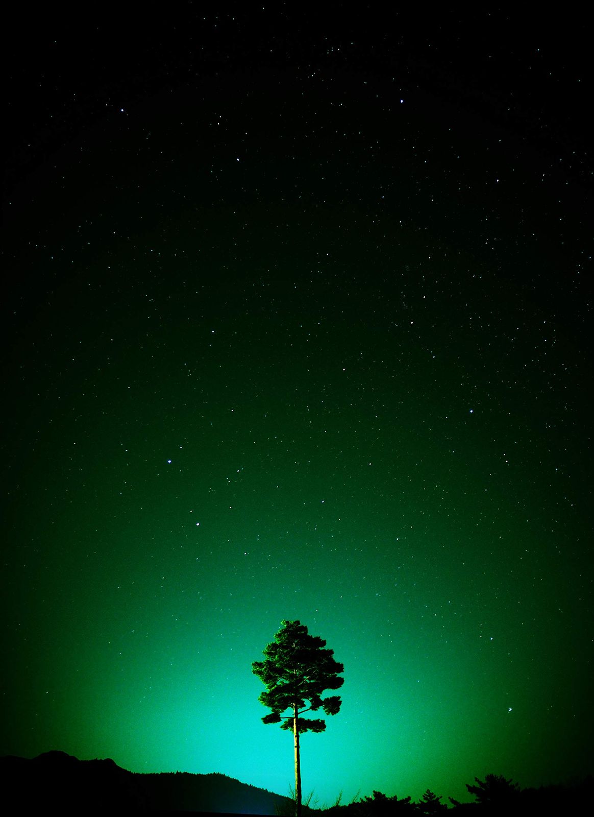 送料無料＆最短翌日配送！ OM SYSTEM オリンパス OLYMPUS 単焦点レンズ M.ZUIKO DIGITAL 17mm F1.8 シルバー ストレートな