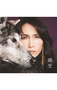 CD／工藤静香／「感受」 Shizuka Kudo 35th Anniversary self-cover