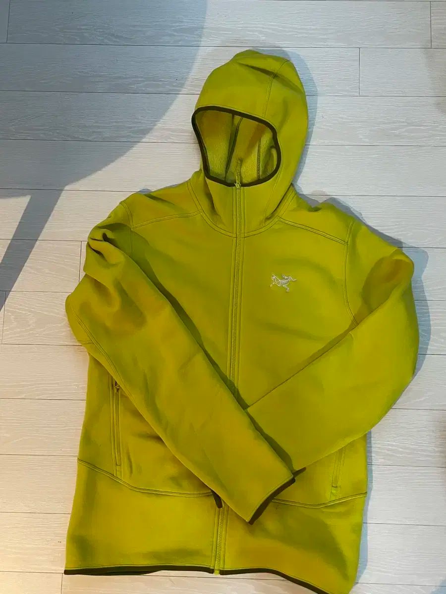 ARC TERYX カイアーナイドフーディー