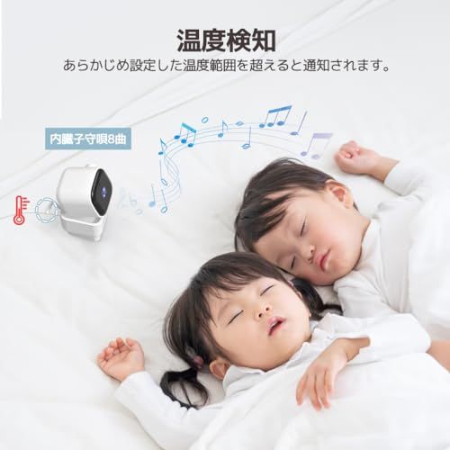 双方向音声通信