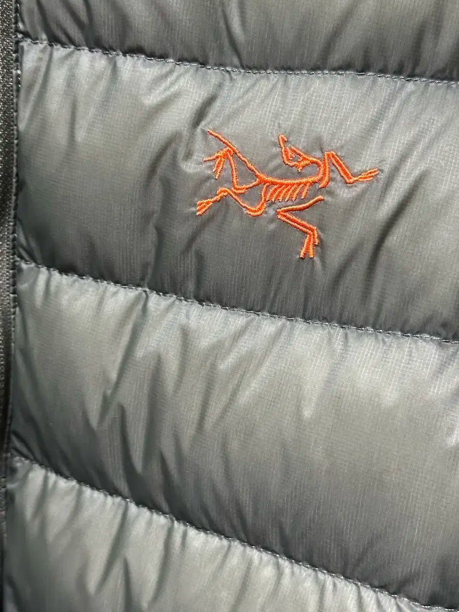 セリウム フーディー