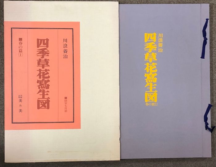 四季草花写生図 全10冊 セット 700部 美乃美 川浪養治 四季草花寫生図