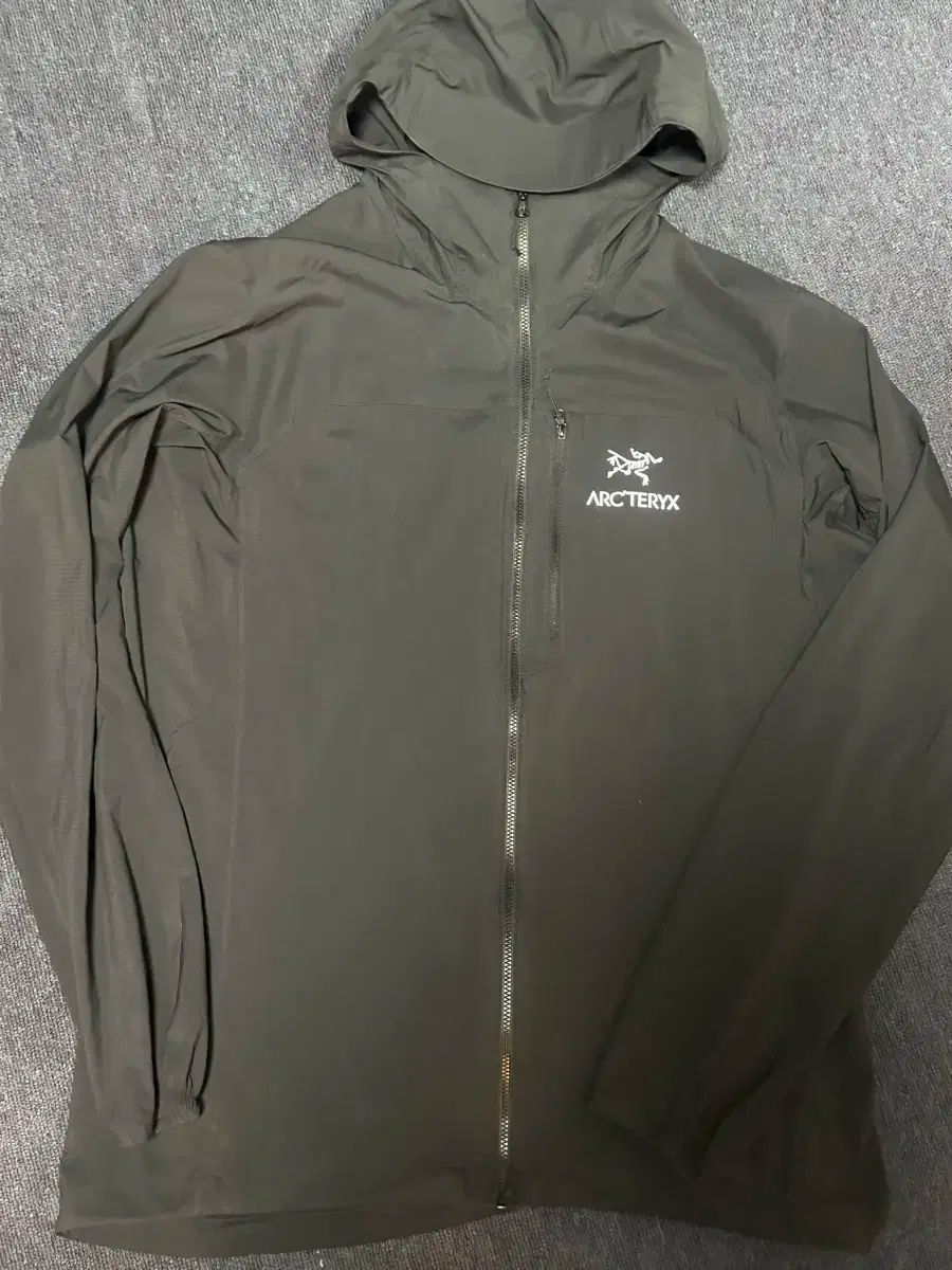 ARC TERYX アークテリクス スコミス