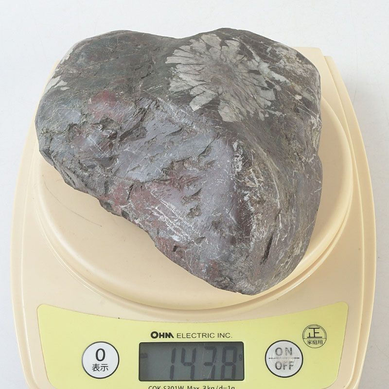鑑賞石 天然石 菊花石 置物 重さ約1439g 唐木台付 C S257 - メルカリ