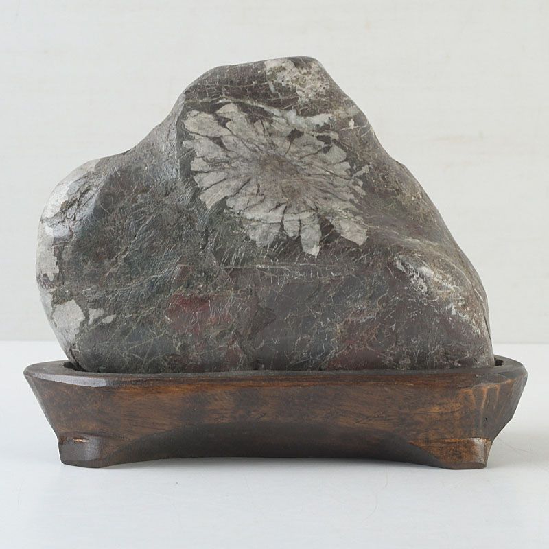 鑑賞石 天然石 菊花石 置物 重さ約1439g 唐木台付 C S257 - メルカリ