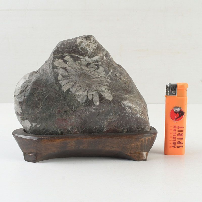 天然石　鑑賞石　菊花石　置物　重さ約1127g　唐木台付　C　R7298 鑑賞石 天然石 菊花石 置物 重さ約1439g 唐木台付 C S257 - メルカリ