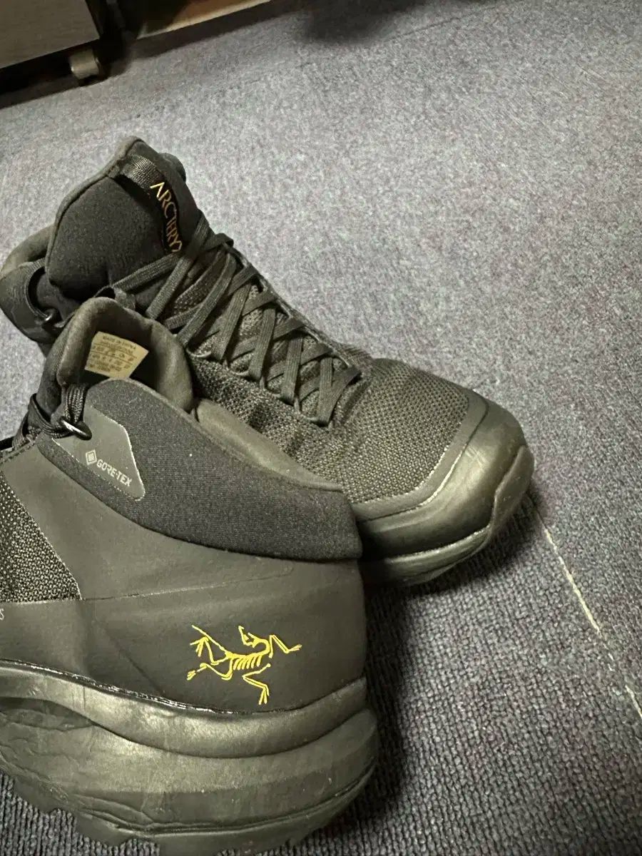 アークテリクス エアリス GTX ミッド