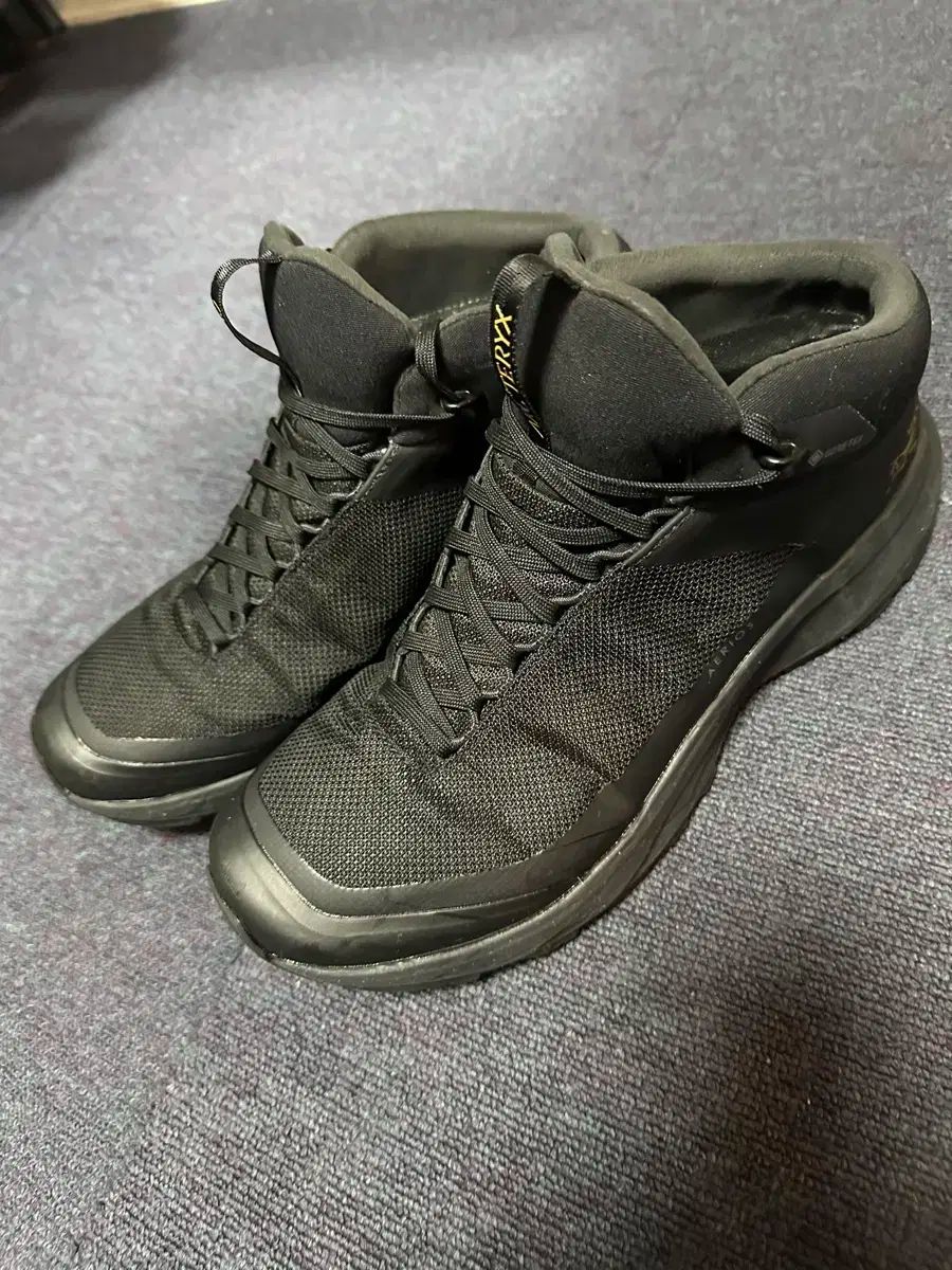 アークテリクス エアリス GTX ミッド