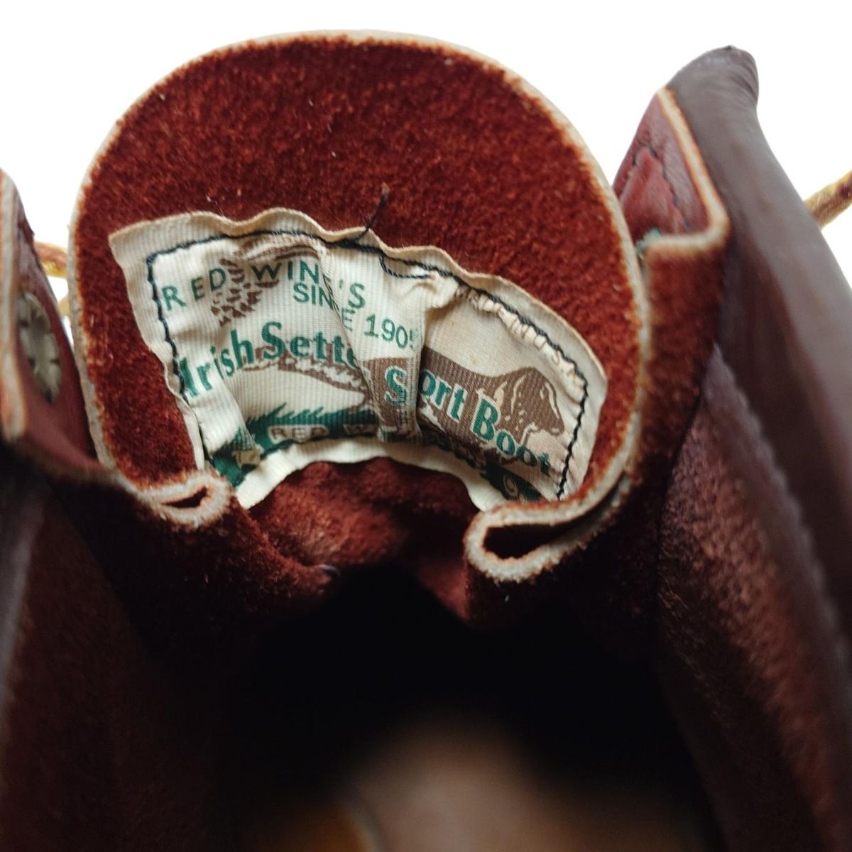 - ブラウン×イエロー