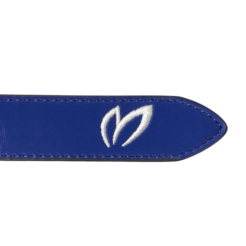 マスターバニーエディション モデル