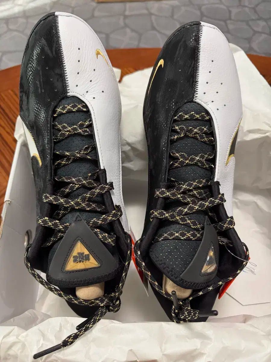  レブロン バスケシューズ xxll Ep 310 us 13 シューズ(男性用) バスケットボール