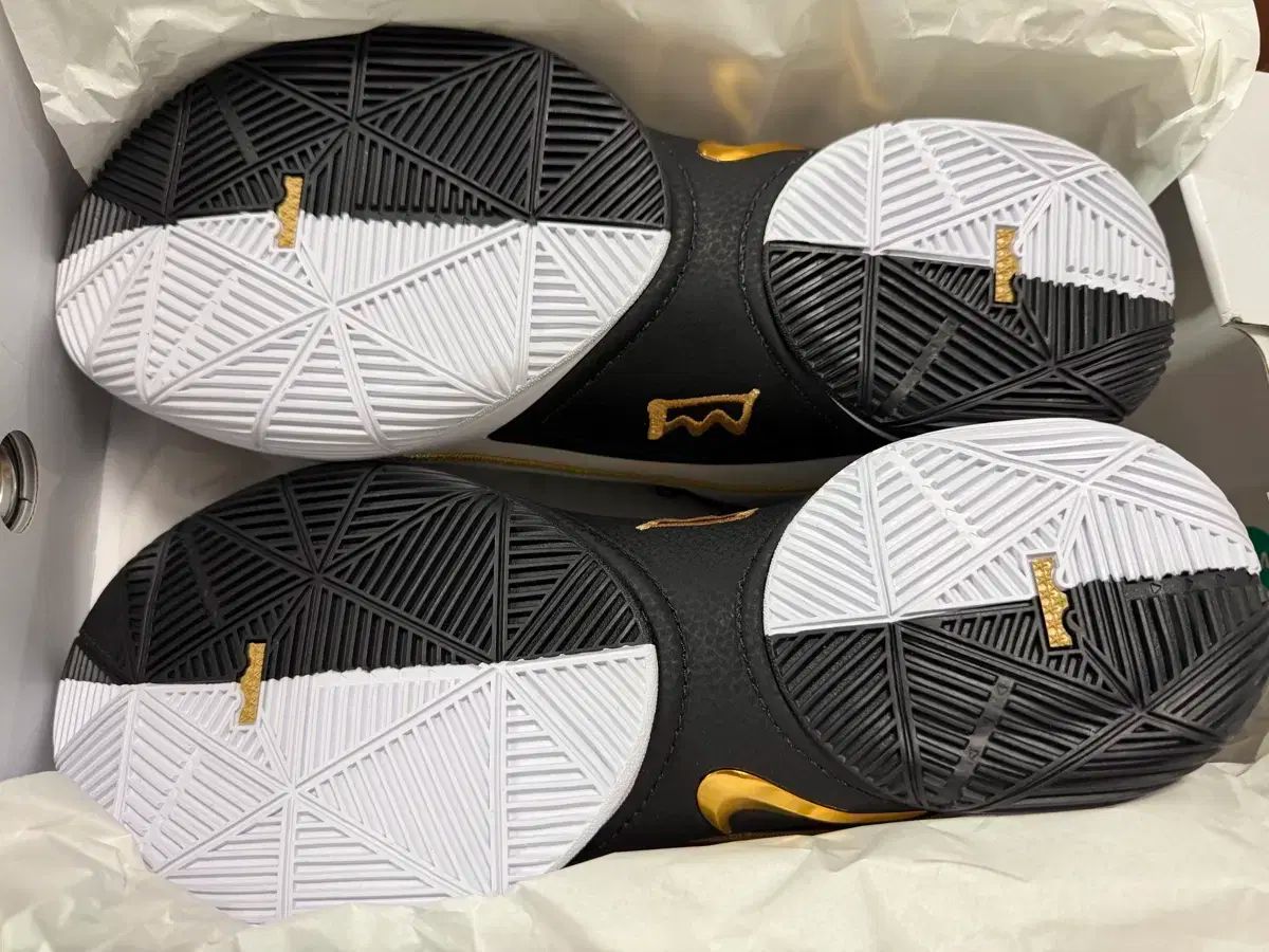 レブロン バスケシューズ xxll Ep 310 us 13