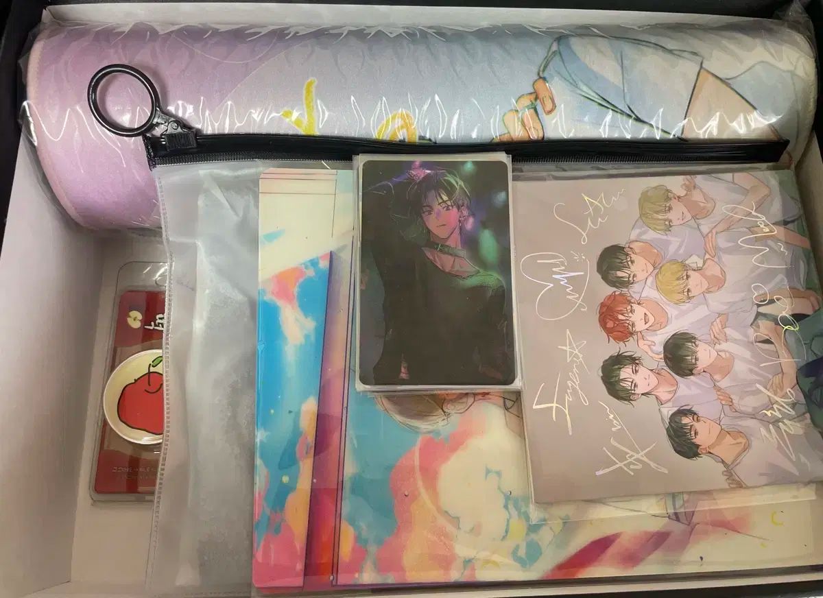 デビューできないと死ぬ病気にかかってしまいました グッズ ボックスセット 1部