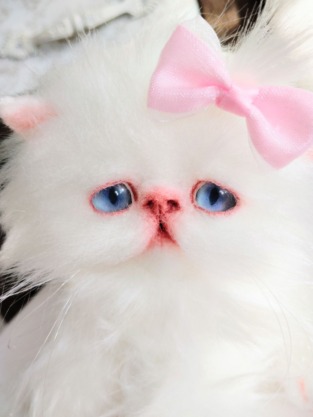 女の子 ️エキゾチックロングヘア ️優しいお顔の子猫ちゃん ️アートドール ぬいぐるみ