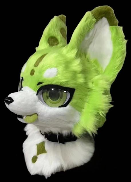 ファースーツ 着ぐるみセット NO 290 犬 緑 グリーン ケモノ 全頭ヘッド ぬいぐるみ コスプレ コスチューム