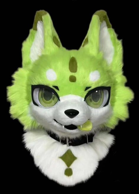 ファースーツ 着ぐるみセット NO 290 犬 緑 グリーン ケモノ 全頭ヘッド ぬいぐるみ コスプレ コスチューム