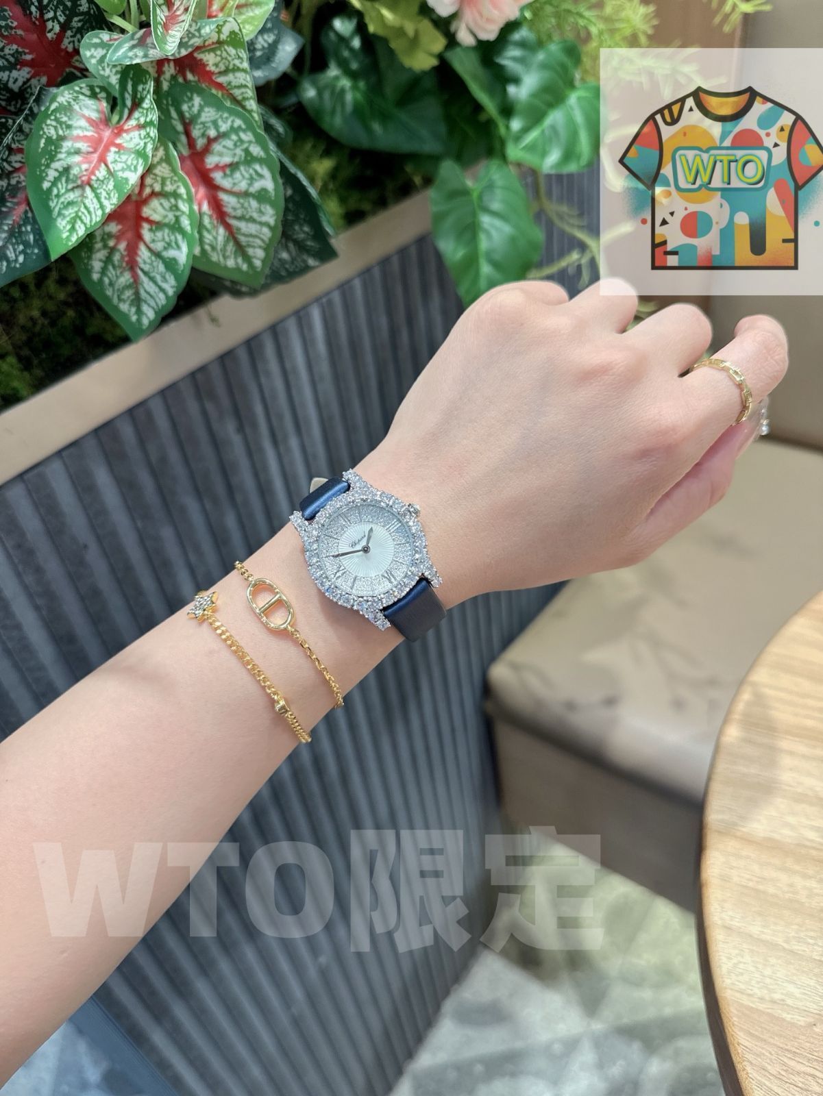 技術を採用-WTO輸入-BVZ