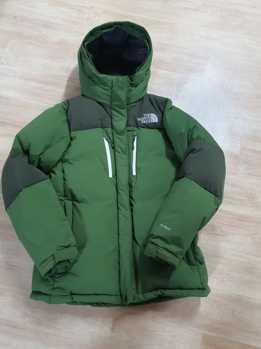 THE NORTH FACE グースダウン メンズ 95サイズ の服です