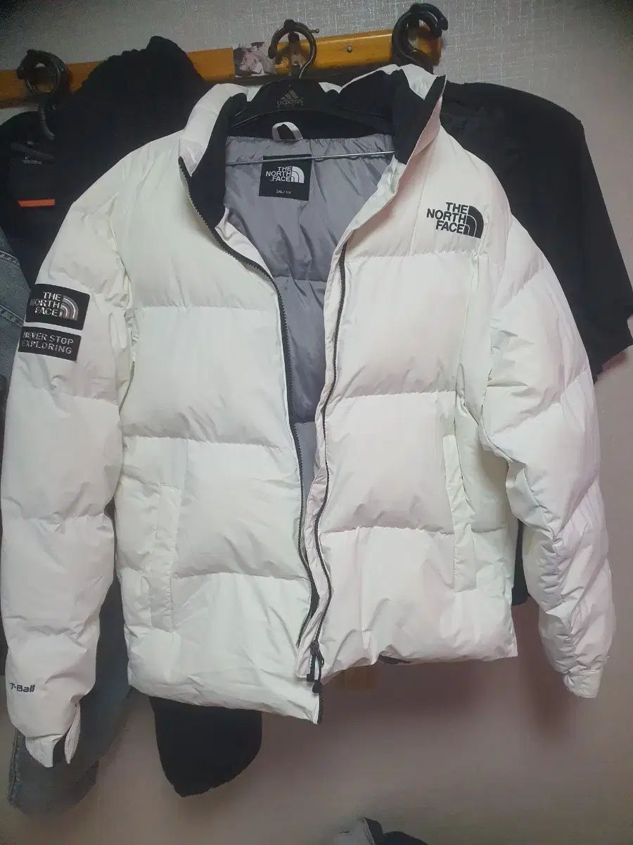 THE NORTH FACE ザノースフェイス 白 ショートダウン 2XL