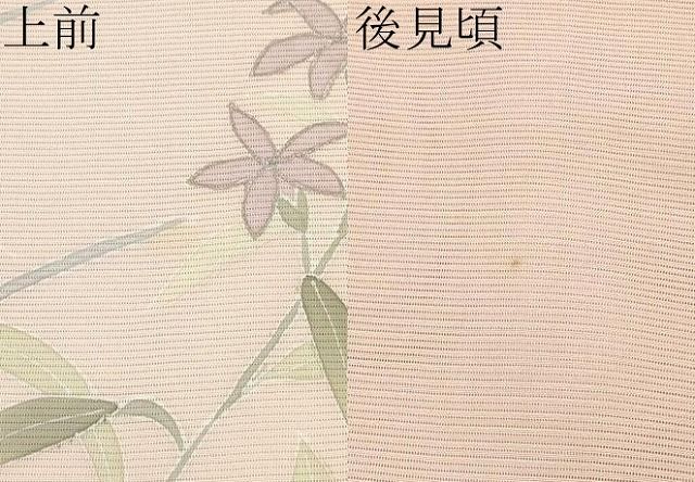 銀彩 一斤染色地