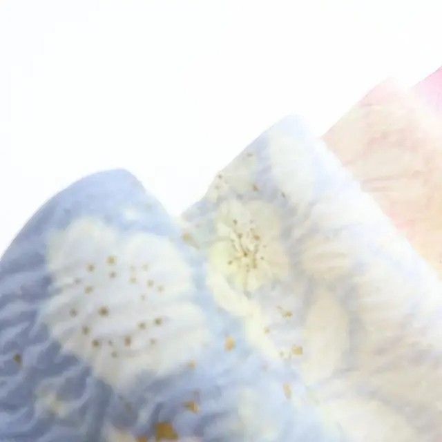 わん✾m590＊手描き友禅 縫い一つ紋 手縫い仕立て 訪問着 m590＊手描き友禅 縫い一つ紋 手縫い仕立て 訪問着