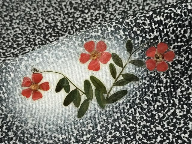 平和屋着物●訪問着　作家物　押し花　草花文　蛍暈し　たたき染め　黒地　さが美扱い　正絹　逸品　DAAY5705ud 平和屋着物○訪問着 作家物 押し花 草花文 蛍暈し たたき染め 黒地