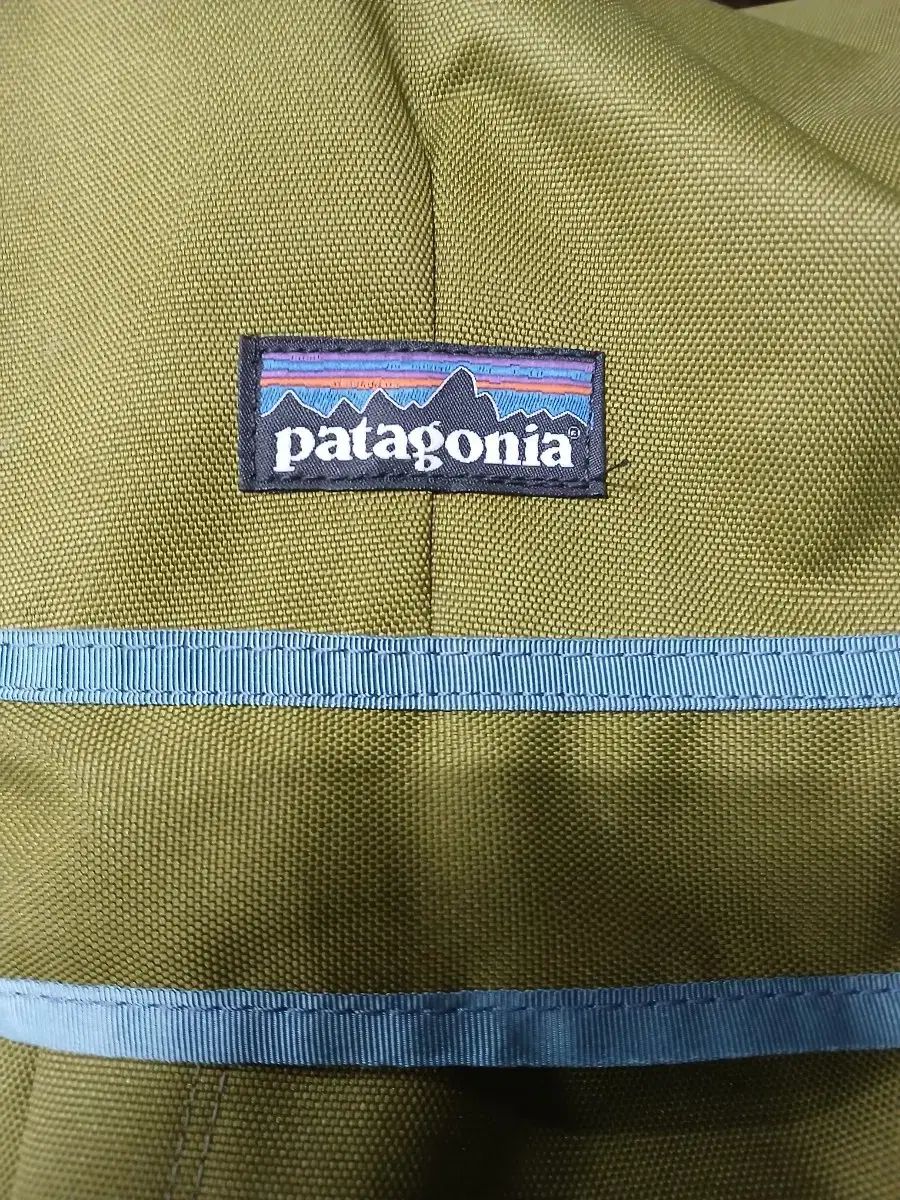 パタゴニア オリーブ色 バックパック バッグ