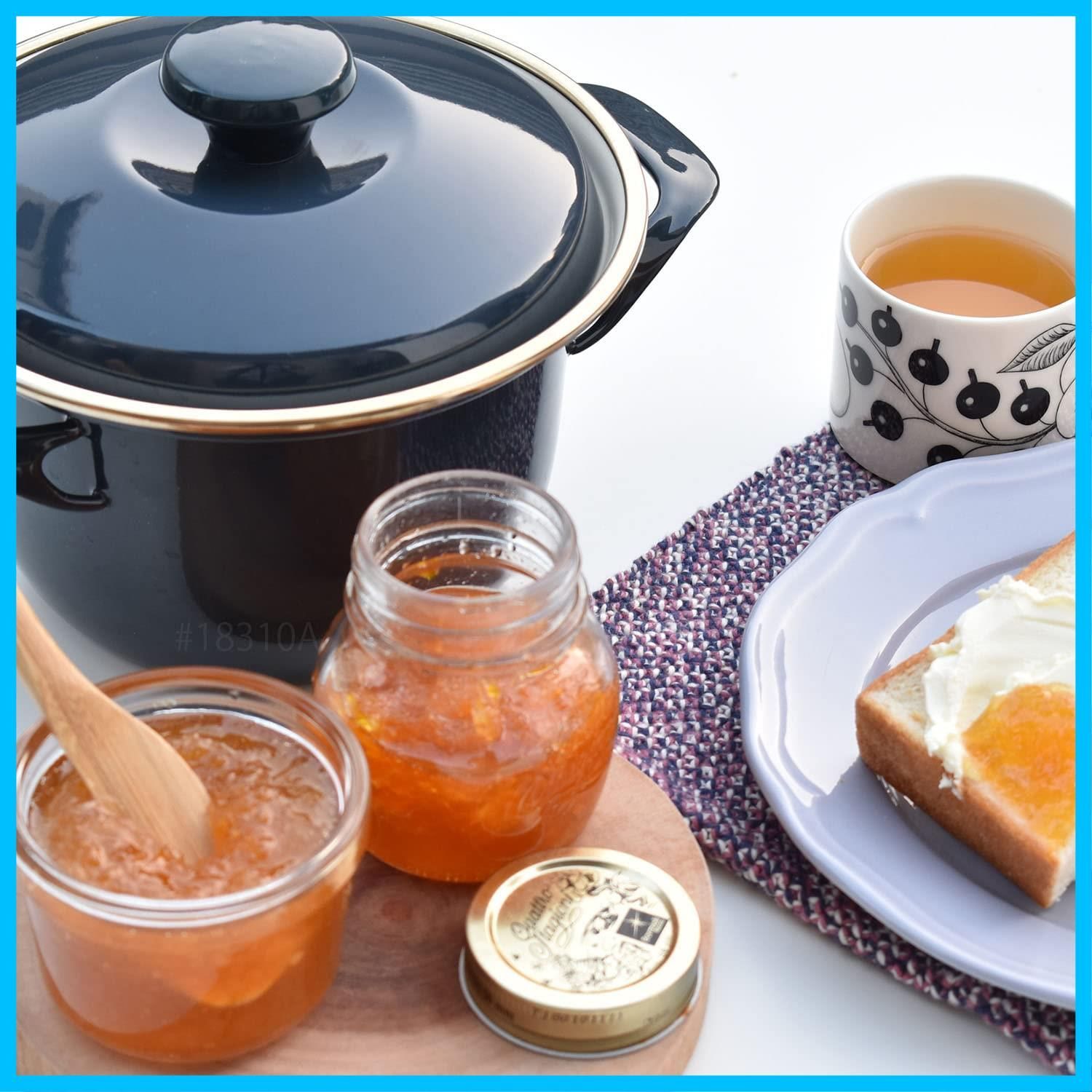 新着商品 16cm 蓋付き ココット ぺインズグレー IH対応 EX-16 ホーロー キャセロール C 両手鍋 CH 富士ホーロー