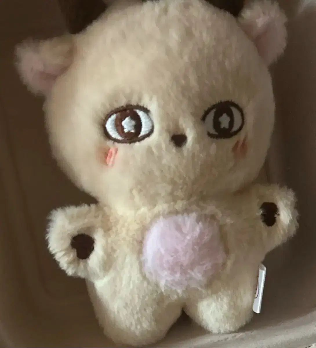 パク ジフン PARK JIHOON IN ぬいぐるみ トレカ 付き フォトカード 一週間のみ ₩