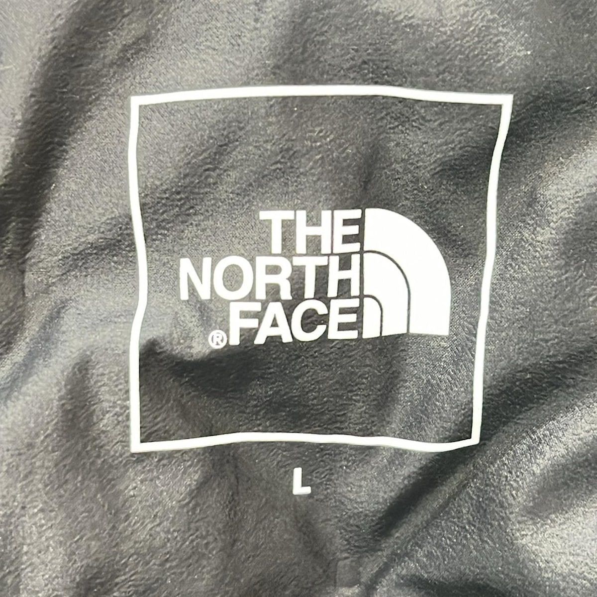 透明感のある THE NORTH FACE ノースフェイス ダウンジャケット サイズL レディース - 黒 長袖 冬
