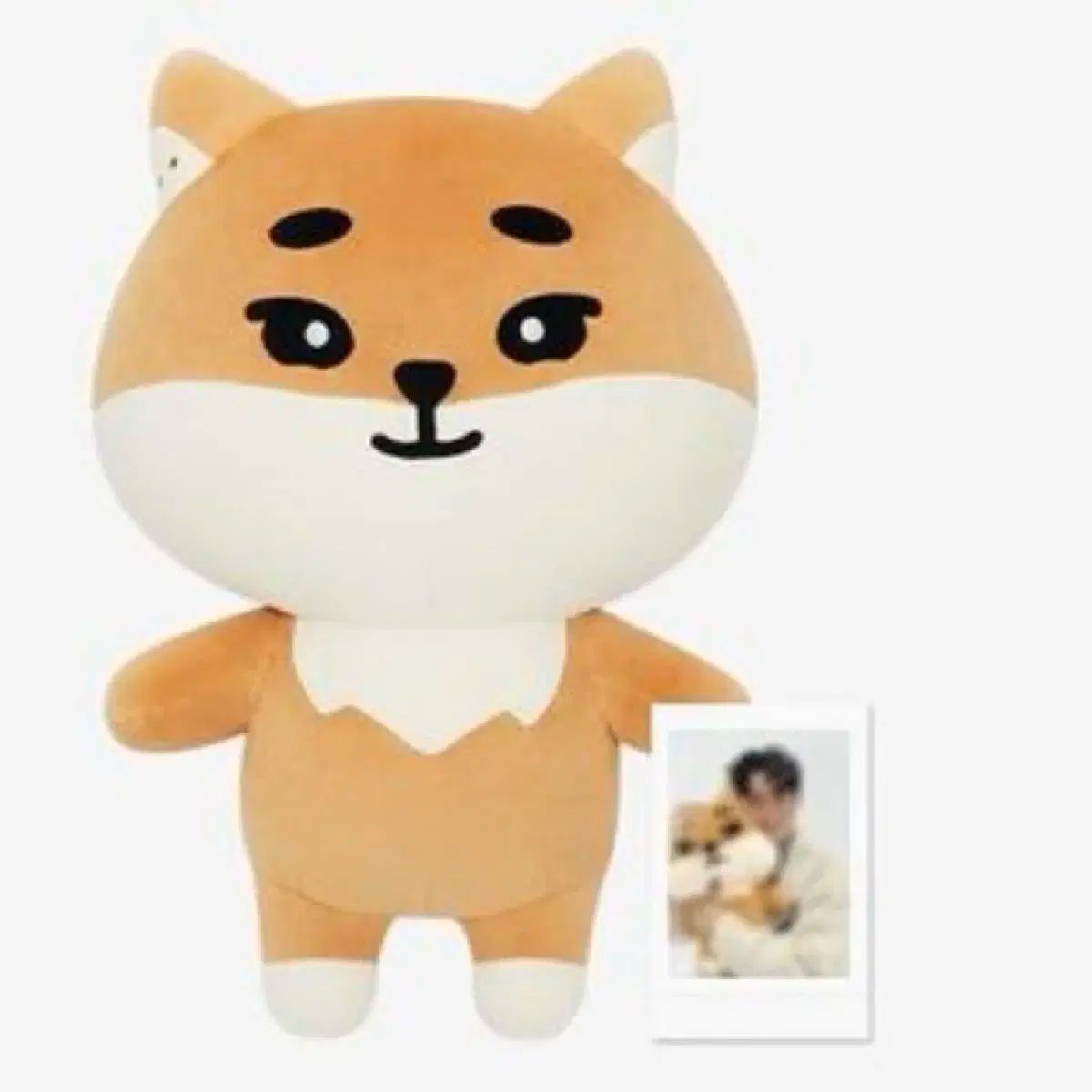 タートルネック含む ジャイアント デニマルズ DENIMALZ ザイオン あんさんぶるスターズ あんスタ