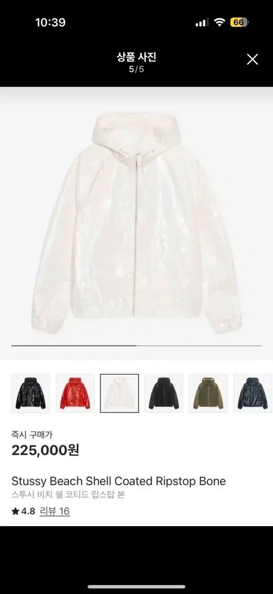 STU ビーチシェル