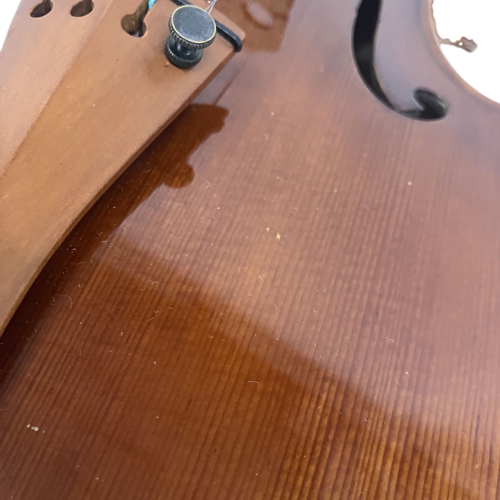 Pygmalius Derius Giappones ピグマリウス#160 小♡梅様専用