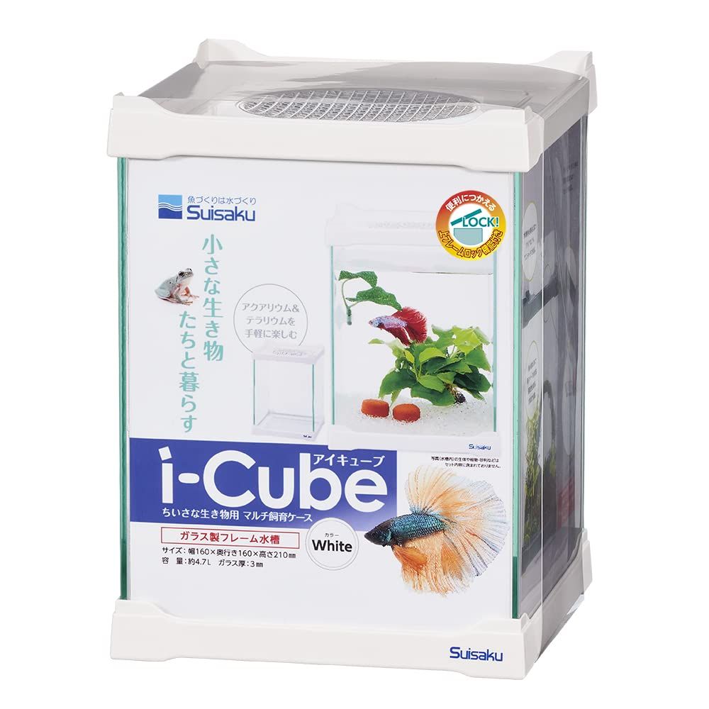 昆虫用品 Hybrid Nest 2 side large H ・ガラスアリ飼育ケース