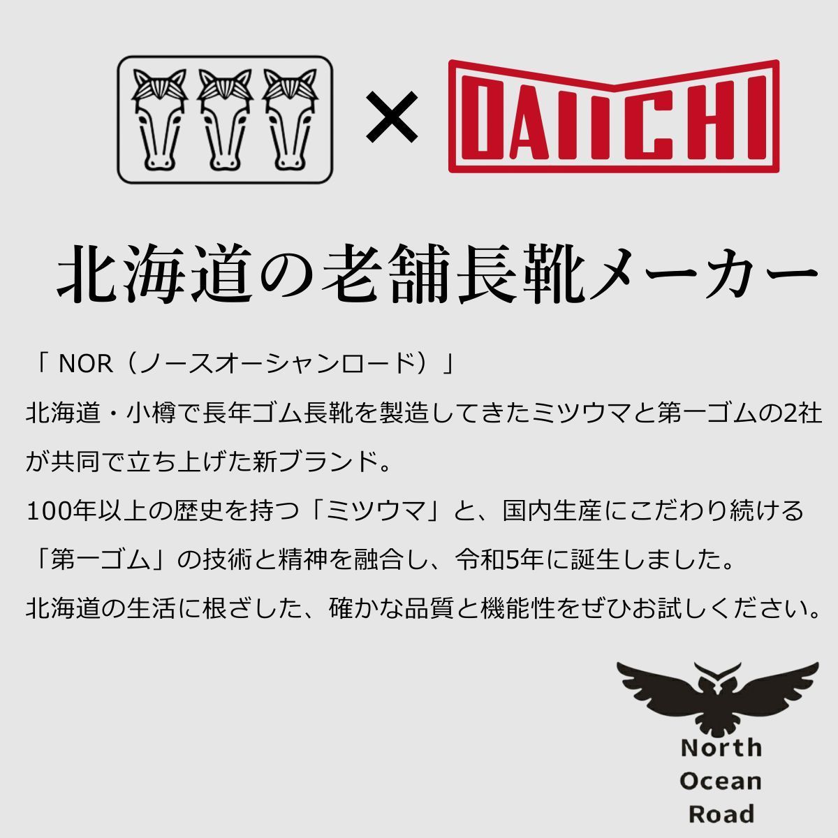 ノースオーシャンロード ブラック