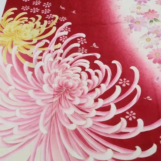 乱菊 トールサイズ