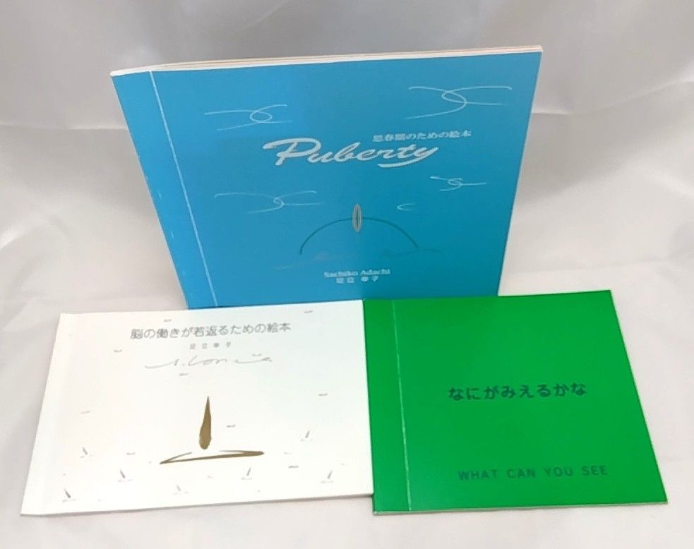 足立幸子 脳の働きが若返るための絵本 なにがみえ るかな 思春期のための絵本 3冊セット